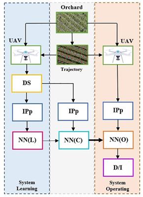 Orchard monitoring based on unmanned aerial vehicles and image processing by artificial neural networks: a systematic review